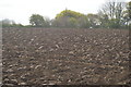 Ploughed field