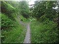 NY2329 : Footpath in Rabbit Warren plantation by Graham Robson