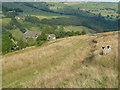 Wadsworth FP67 looking towards Hollin Top, Midgley