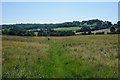 The Cotswold Way heading towards Alderley