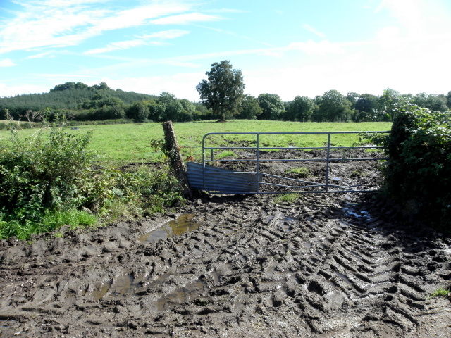 Muddy entrance to field, Creevelough