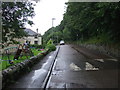 Back Road, Golspie 