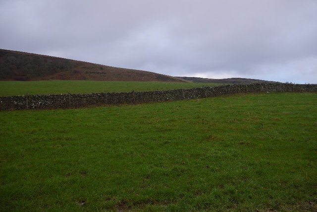 Field and dyke, Fauldshope