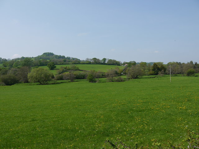 Field at Ford Cross