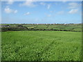 Looking over the Cot Valley towards St Just