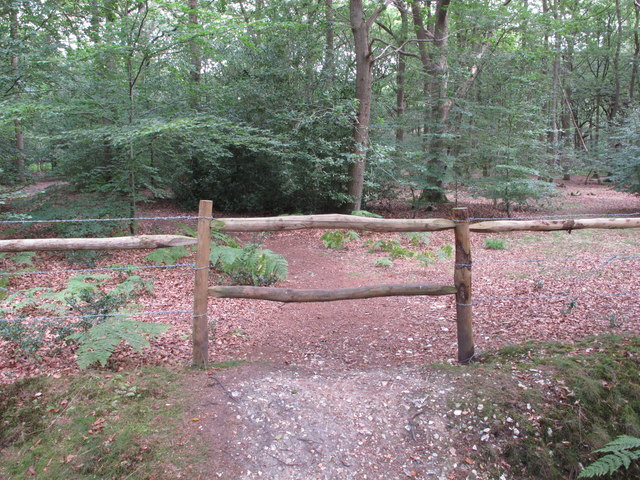 Stile  on private path into Egypt Wood
