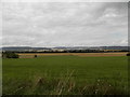 Farmland to west of Abernethy