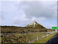 New Footpath and Cycle path