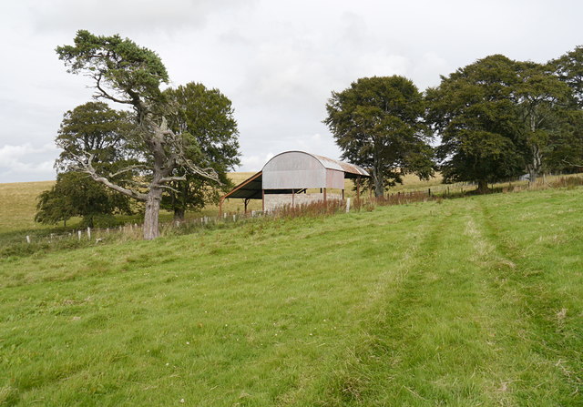 Barn and trees, by Hill of Nigg