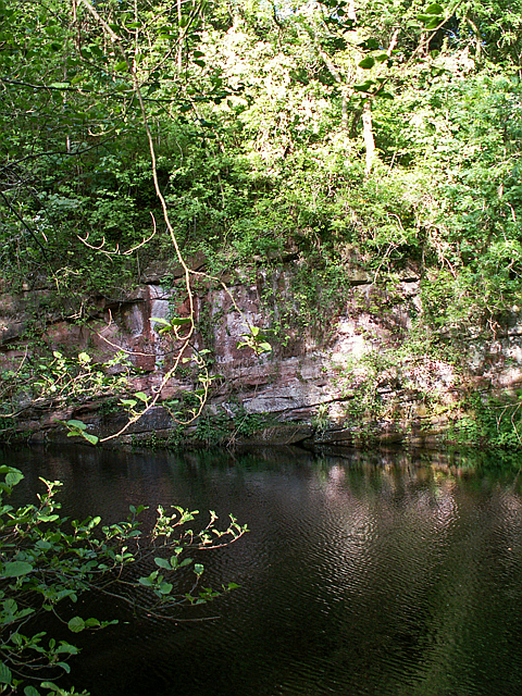 Pond, Quarry Banks Nature Reserve, 2006