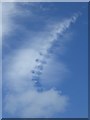 TQ7415 : Cirrus vertebratus cloud over Battle Abbey by Philip Halling