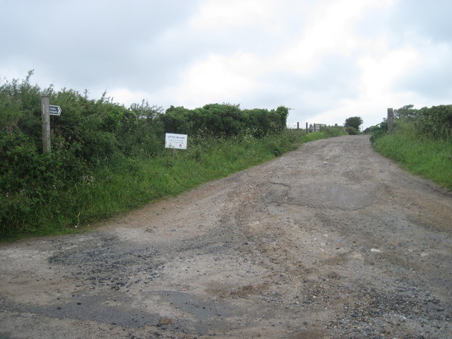 The lane to Little Sellan Farm