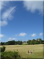 TQ7415 : Cirrus vertebratus above the site of the Battle of Hastings by Philip Halling
