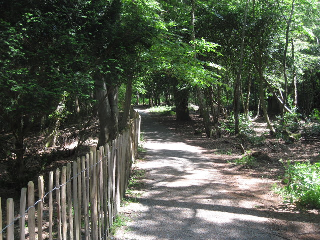 The Wales Coast Path in Treborth woods