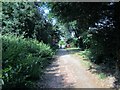 Ilex Way approaching Sea Lane, Ferring