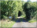 Track to Pool House farm, Purshull Green