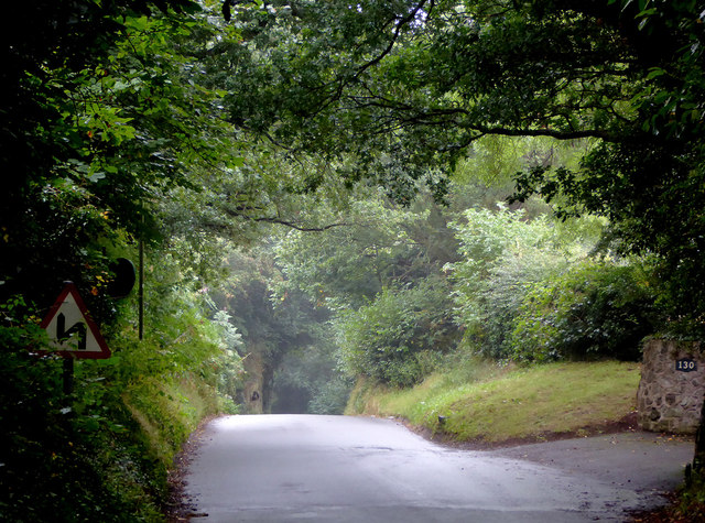 The Lane to Lower Penn, Staffordshire