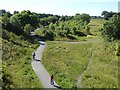 The Lambton Worm and Consett and Sunderland Railway Path