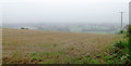 Crop fields east of Lower Penn, Staffordshire