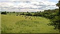 Walking beside Combs Wood