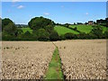 SK1342 : Field path on the line of Deepdale Lane by Ian Calderwood