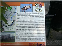 SN1916 : Information Board - Whitland Station by welshbabe