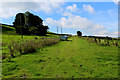 Grassy Track ascending towards Clayton Heights