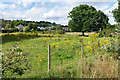 Fields near Shortland Farm