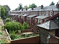 SK9771 : The back gardens of Union Street next to Lincoln Castle by Richard Humphrey
