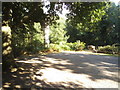 The car park in Witley Common