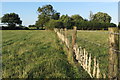 Wooly fence on the path to Cowley Lodge