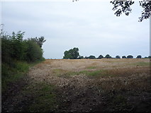 SK0534 : Stubble field north of Bramshall by JThomas