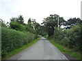 Hill Lane near Lion Farm