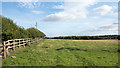 Field adjacent to Pelton Lane