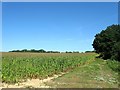 Fry Field/New Limekiln Field