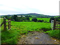 An open field, Crosh