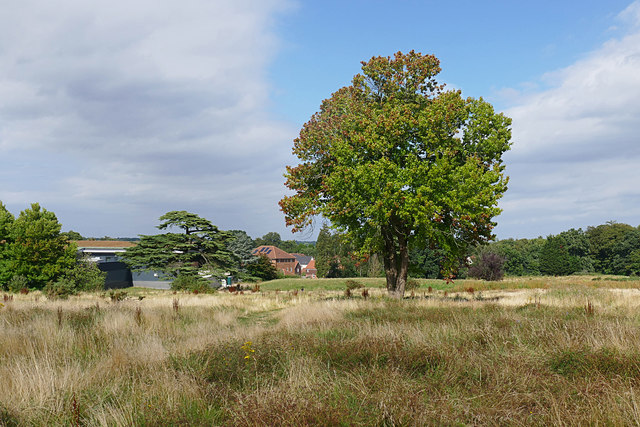 Recreation area near Waitrose, Bagshot