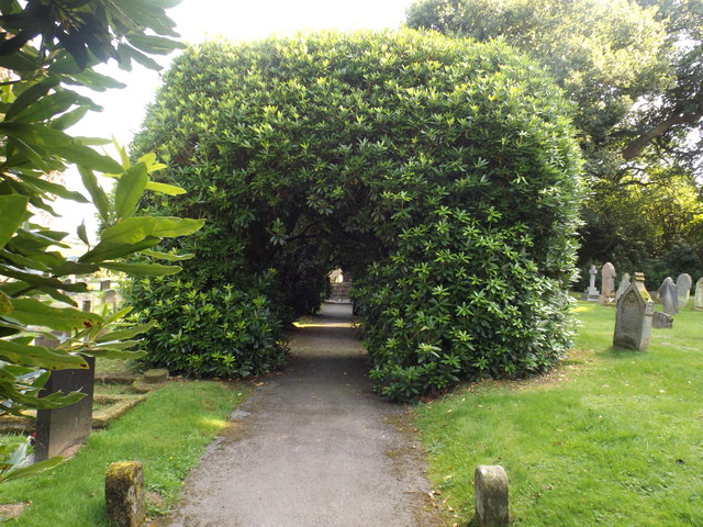 Avenue of bushes inside cemetery