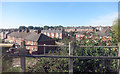 Houses near Polsloe Bridge Station