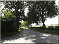 TM0271 : Bribery Lane, Walsham Le Willows by Geographer