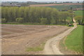 Track to Trenowth Cottages