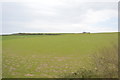 Field east of Polperrow Tunnel