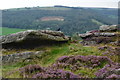 On Froggatt Edge