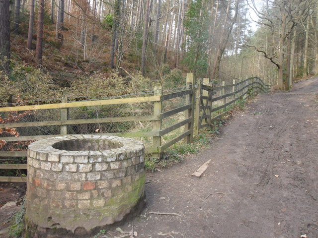 Chopwell Wood: Remains of Lintzford Mill © Anthony Foster :: Geograph ...