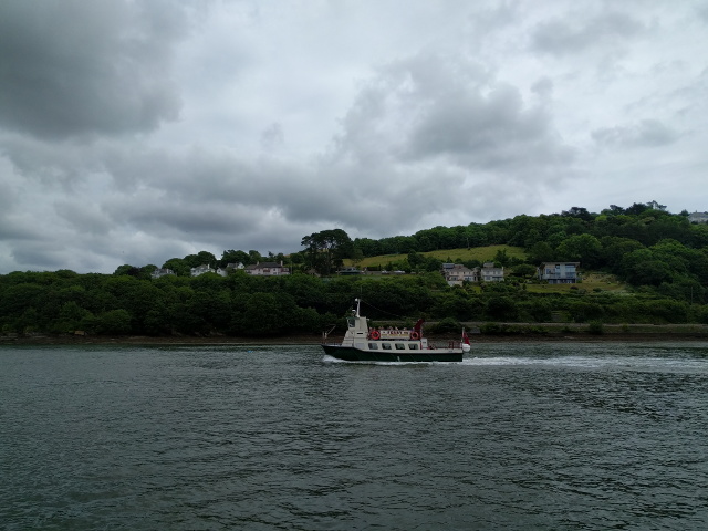 Greenway Ferry on the river Dart