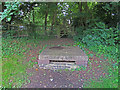 SE corner of flood relief basin showing outlet to Bushby Brook