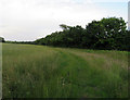 Field boundary along Bushby Brook