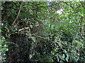 Former footpath towards Pulford Drive