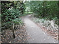 Path alongside Dollis Brook