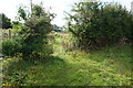 Path leading to Black House Farm, Long Lane